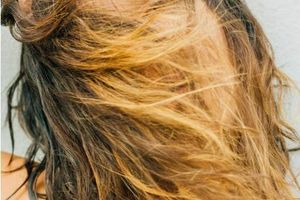 Як визначити тип власного в волосся: поради експертів фото